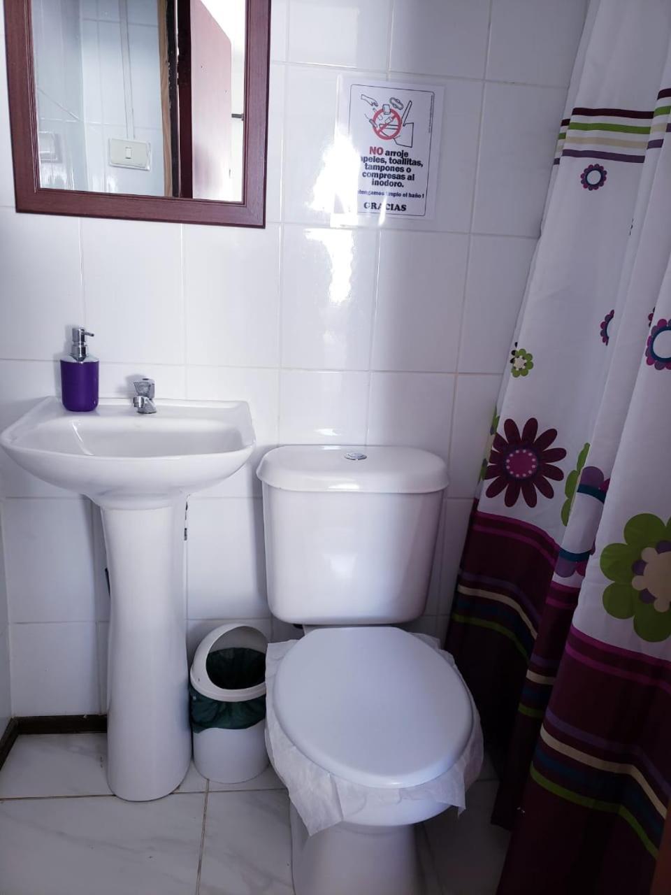Hostal Arrayan فالديفيا المظهر الخارجي الصورة