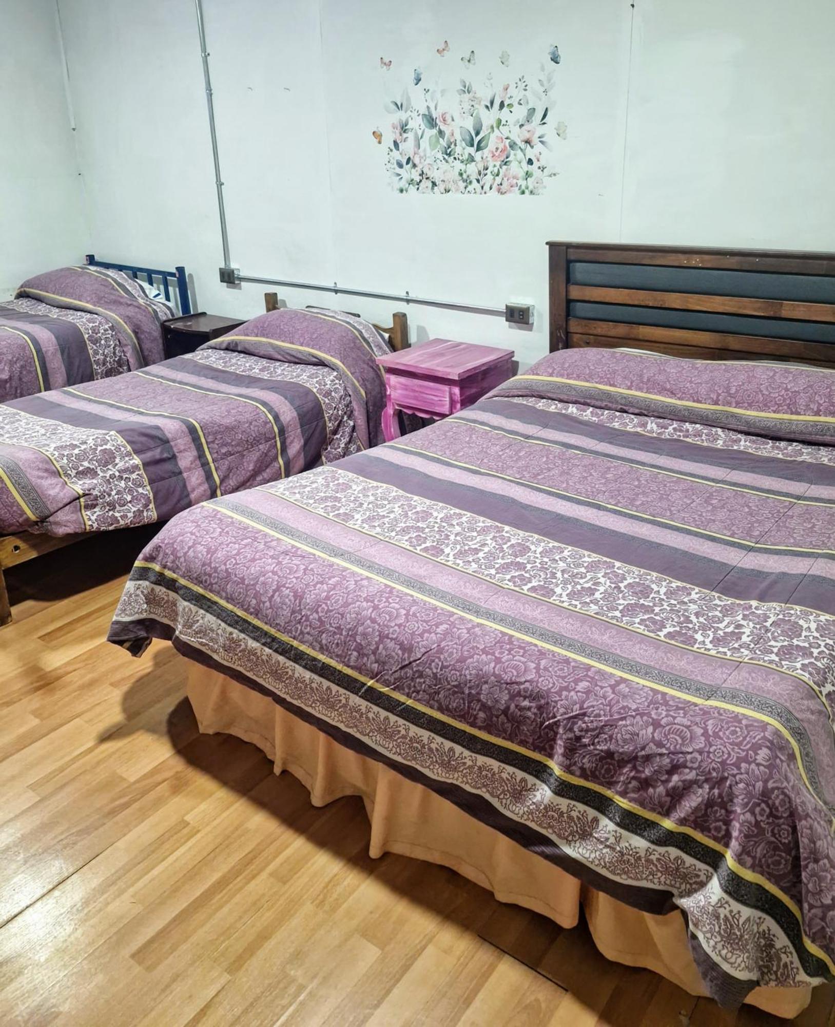 Hostal Arrayan فالديفيا المظهر الخارجي الصورة